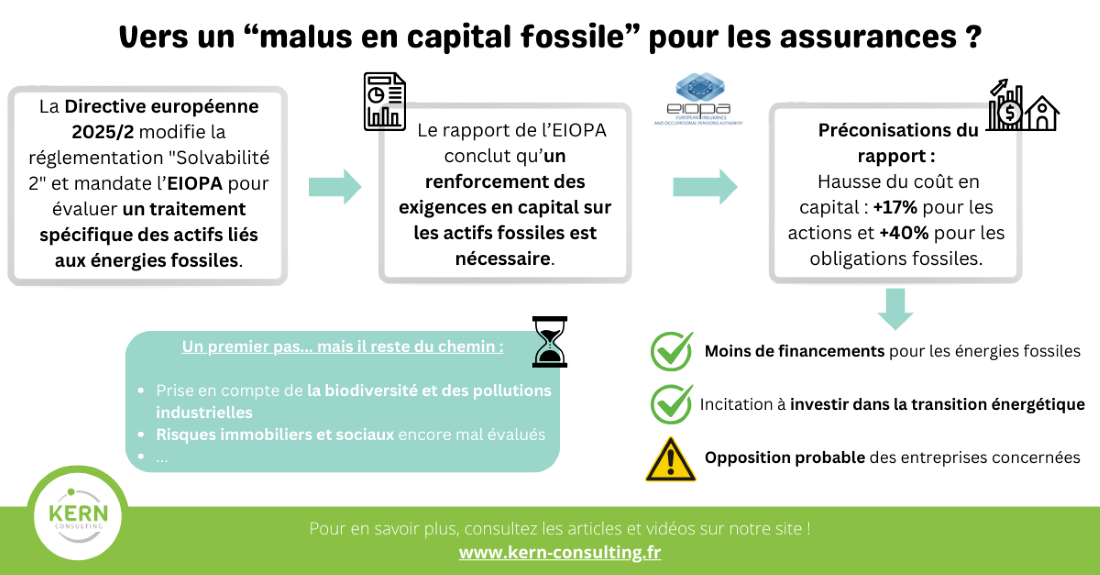 malus capital fossile